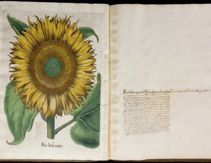 Le plus grand livre botanique du monde est…?